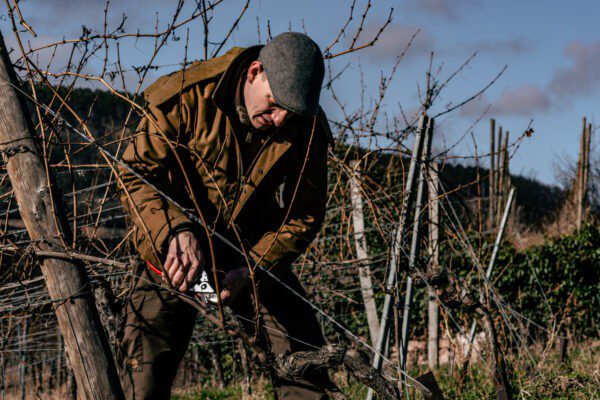 Unser Weg zum Wein-Tour 01.11.2025 – Bild 3